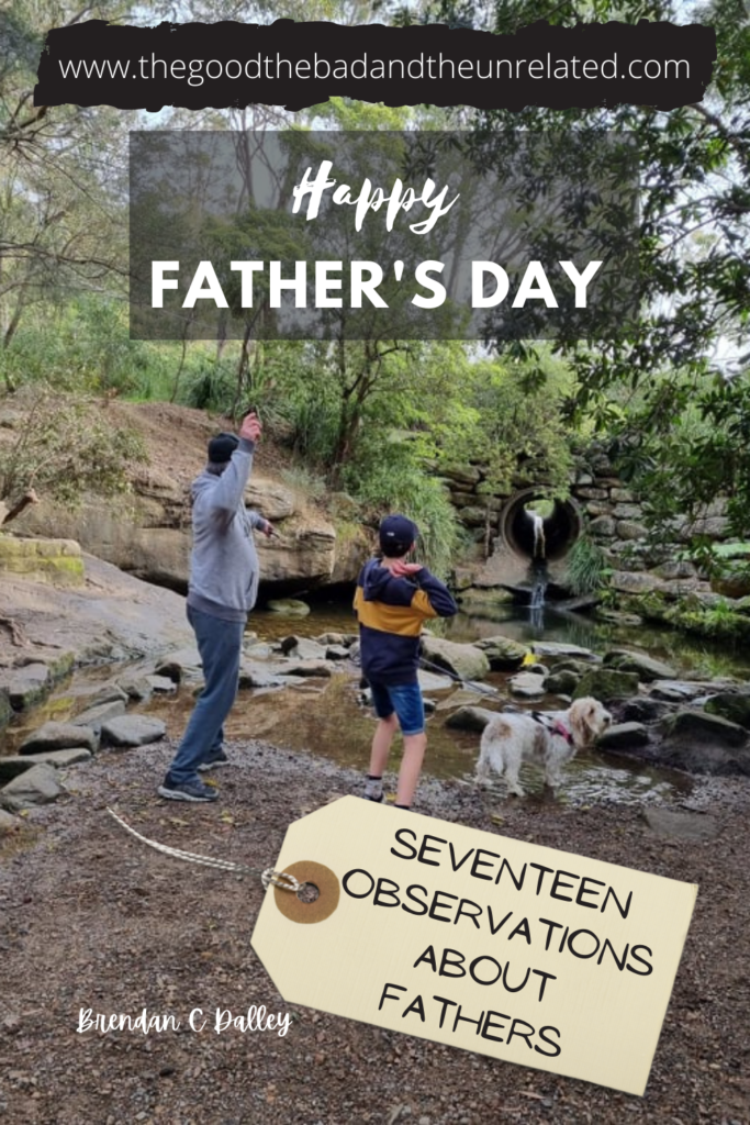 Dad, son and dog throwing rocks into the creek in the bush. Text says Happy fathers day; seventeen observations about fathers.